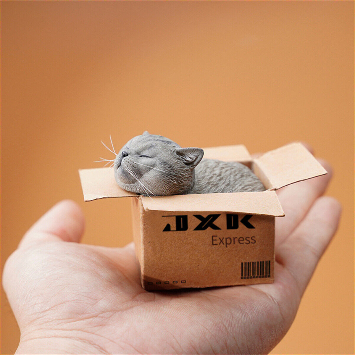 JXK The Cat In The Delivery Box Model