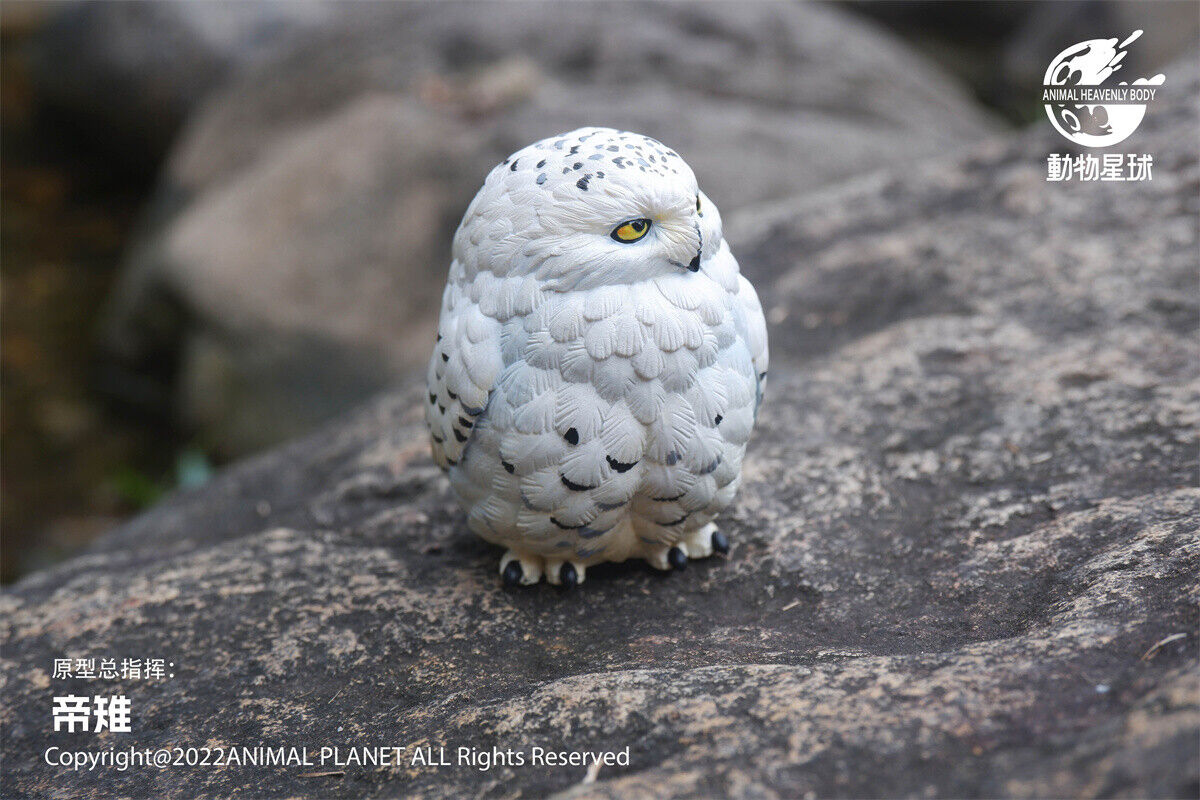 Animal Planet 10 Birds Blind Box Model