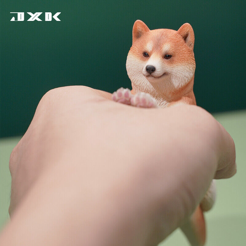 JXK 1/6 Play Cute Shiba Inu Model