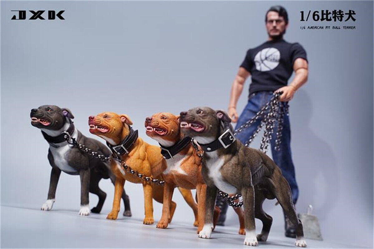JXK 1/6 American Pit Bull Terrier Model