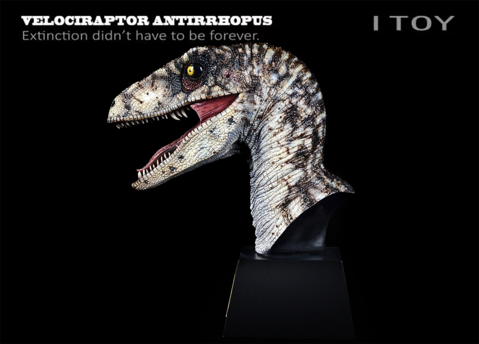 ITOY Velociraptor Antirrhopus Head Bust Model