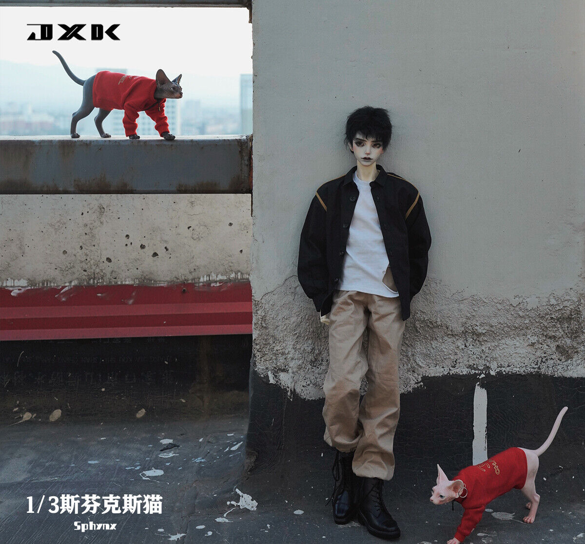 JXK 1/3 Canadian Hairless Model