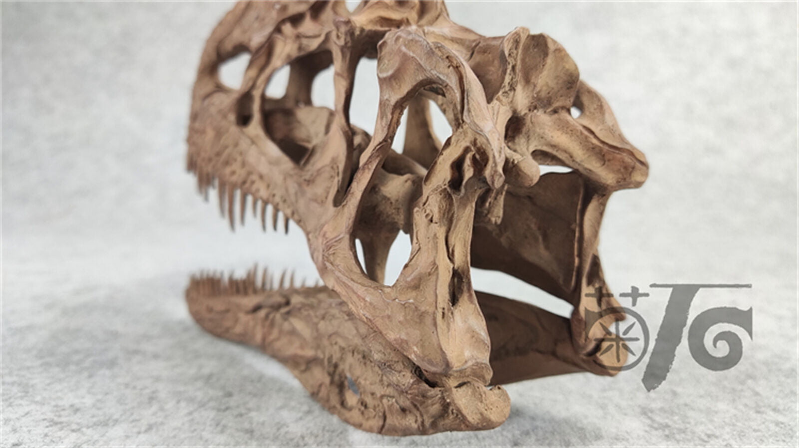 1/3 Monolophosaurus Skull Model