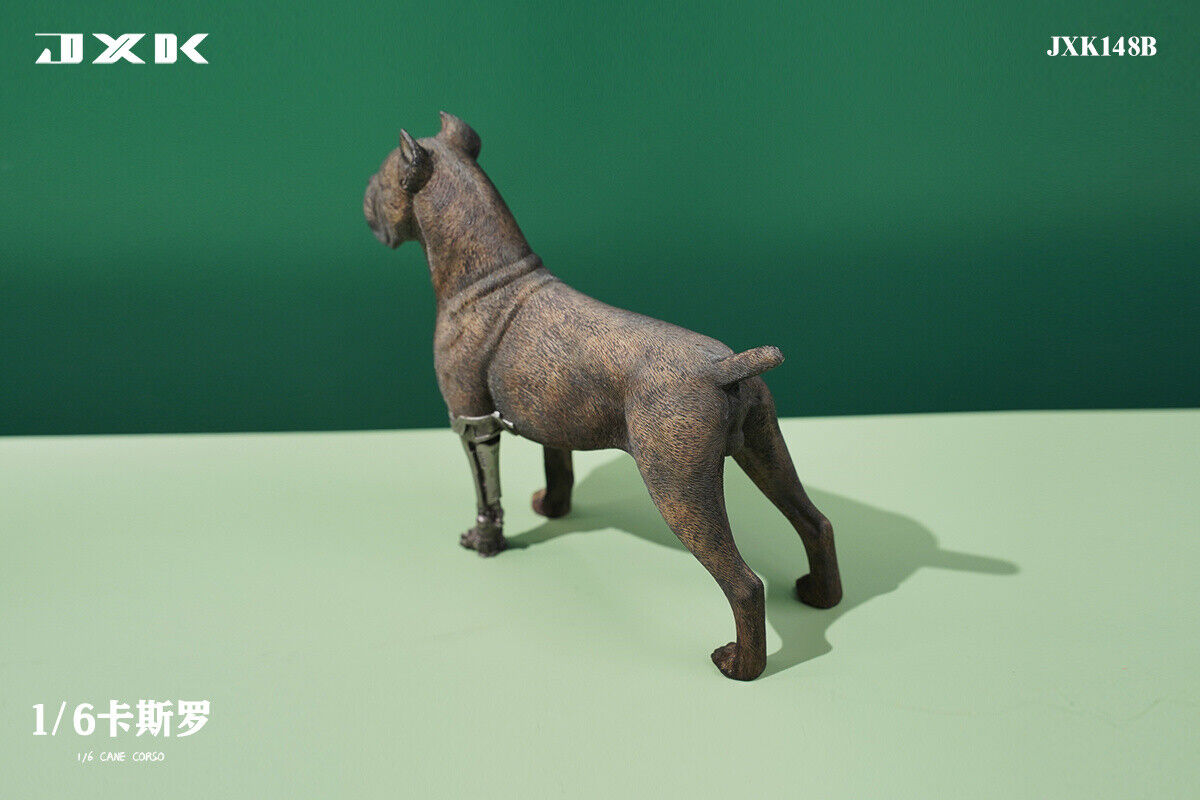 JXK 1/6 Cane Corso Model