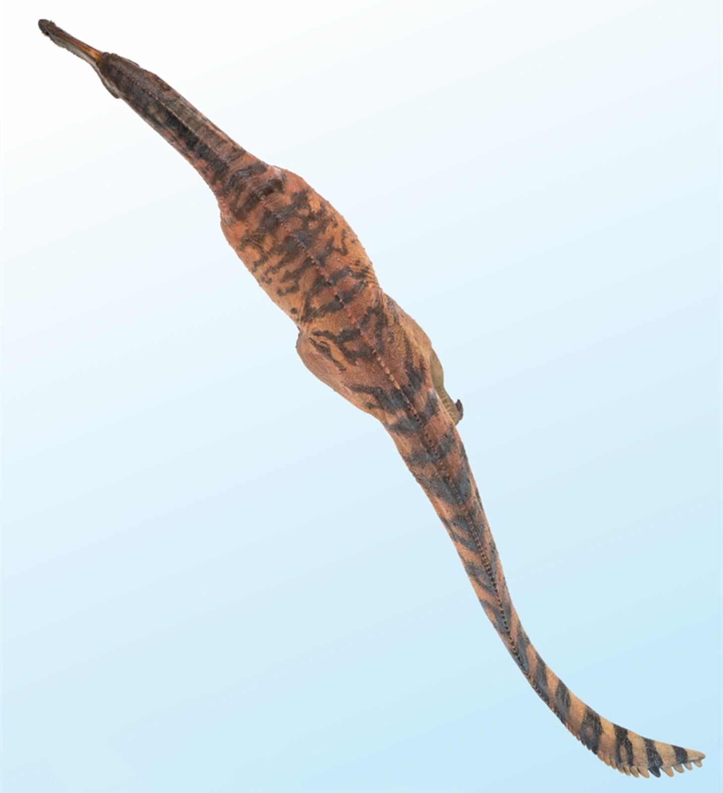PNSO Sinopliosaurus Chongzuo Model