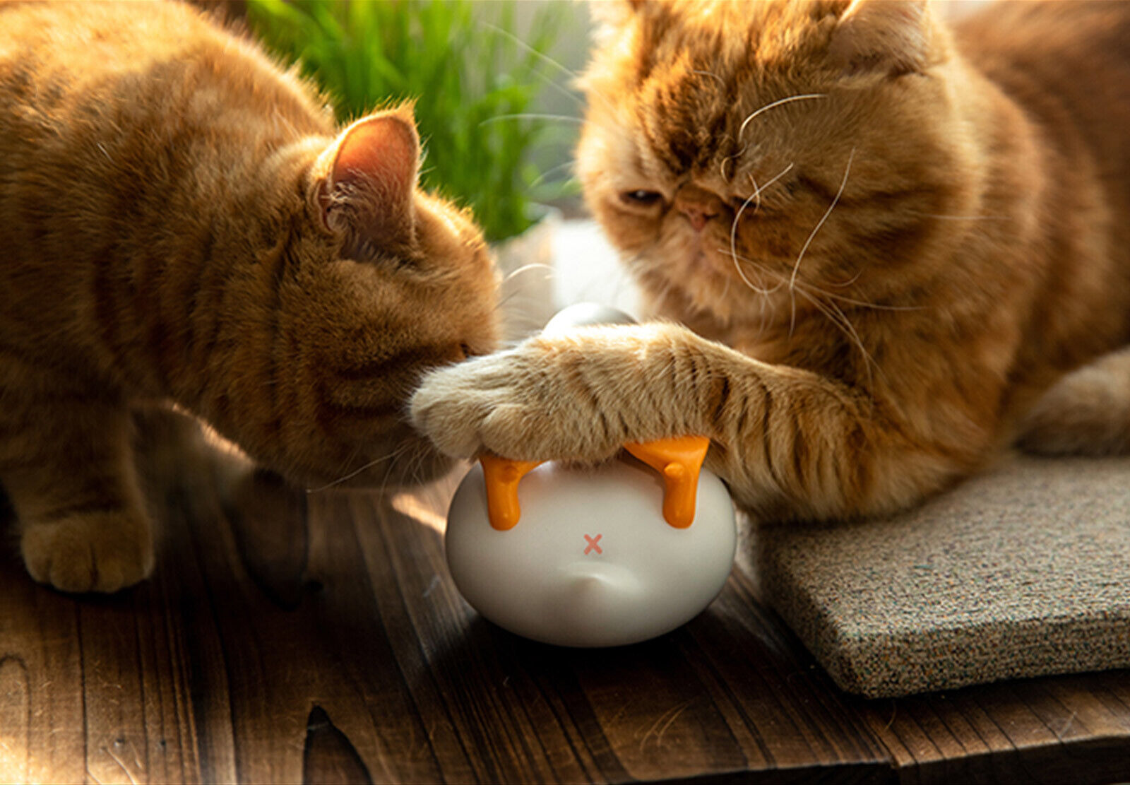 KONGZOO WAWA Duck Model