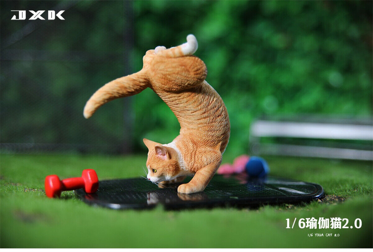 JXK 1/6 Yoga Cat 2.0 Model