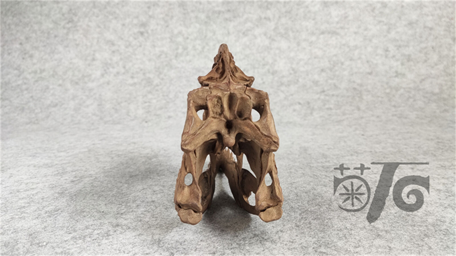 1/3 Monolophosaurus Skull Model