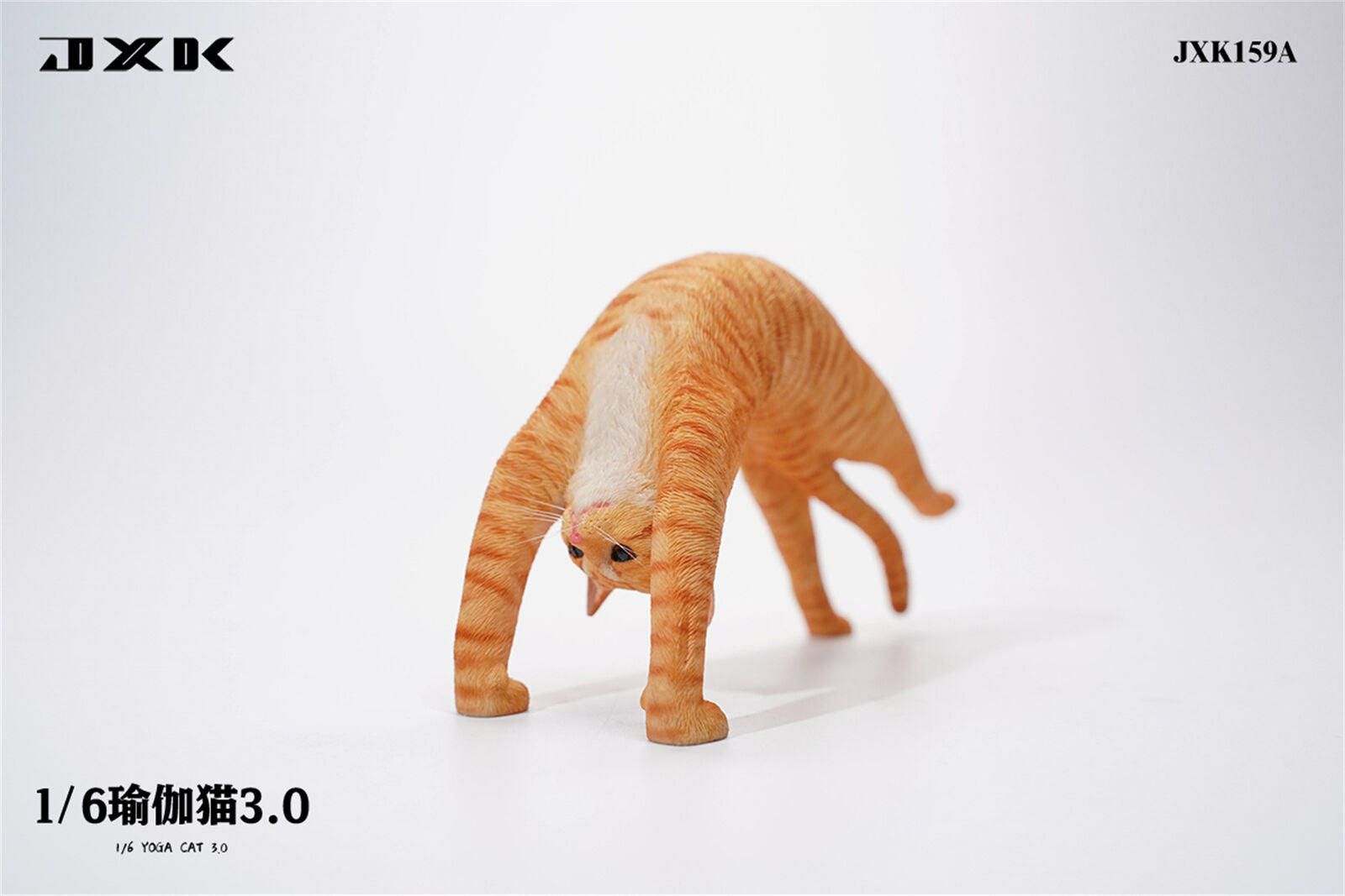 JXK 1/6 Yoga Cat 3.0 Model