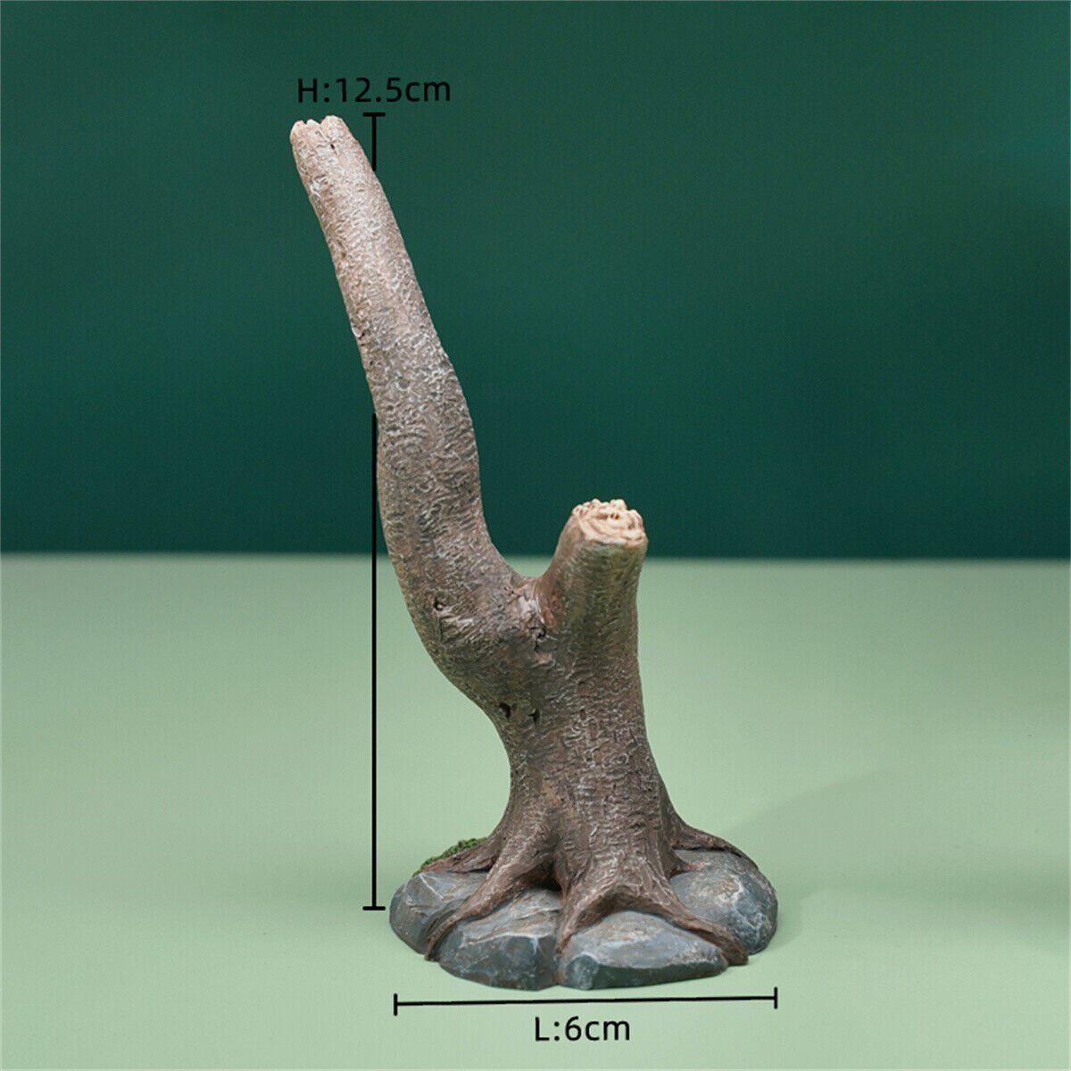 JXK 1/1 Callithrix Jacchus Model