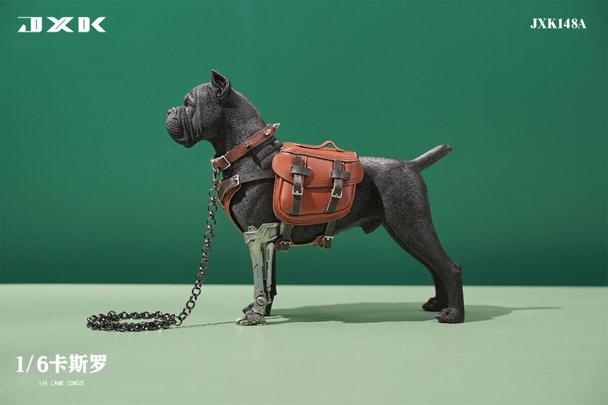 JXK 1/6 Cane Corso Model