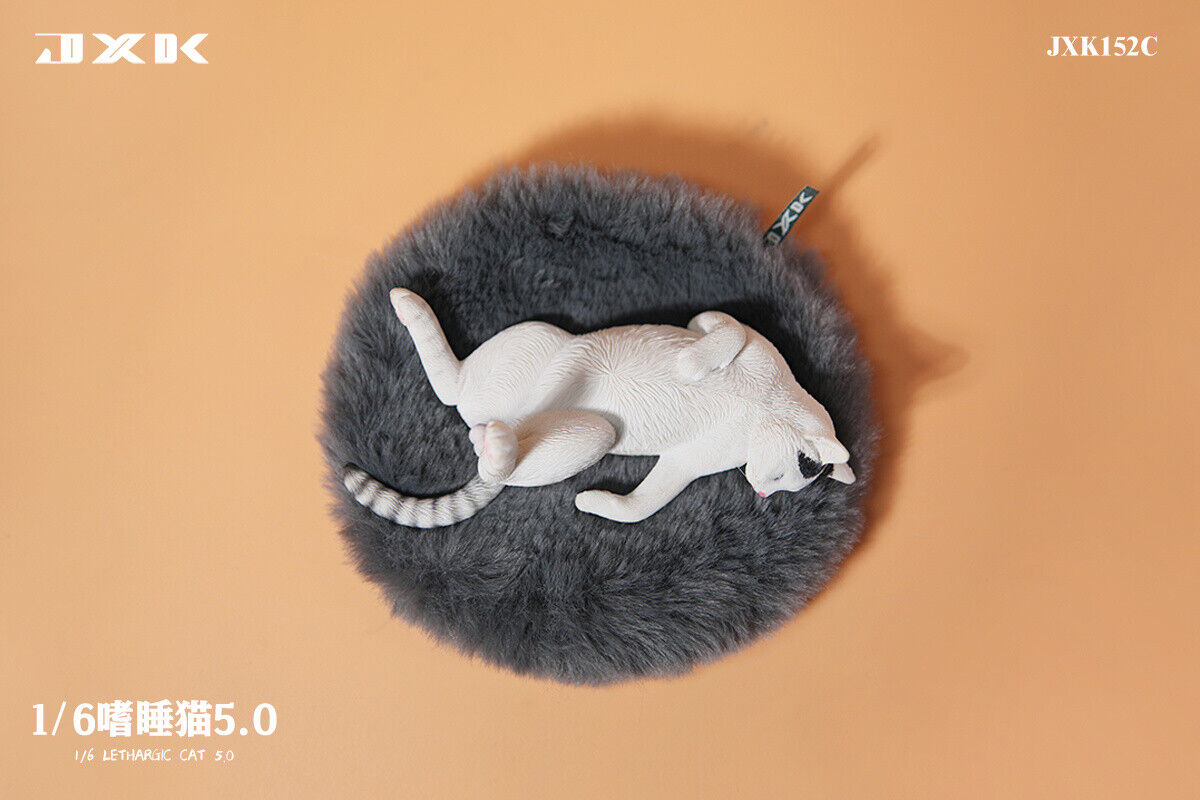 JXK 1/6 Lethargic Cat 5.0 Model