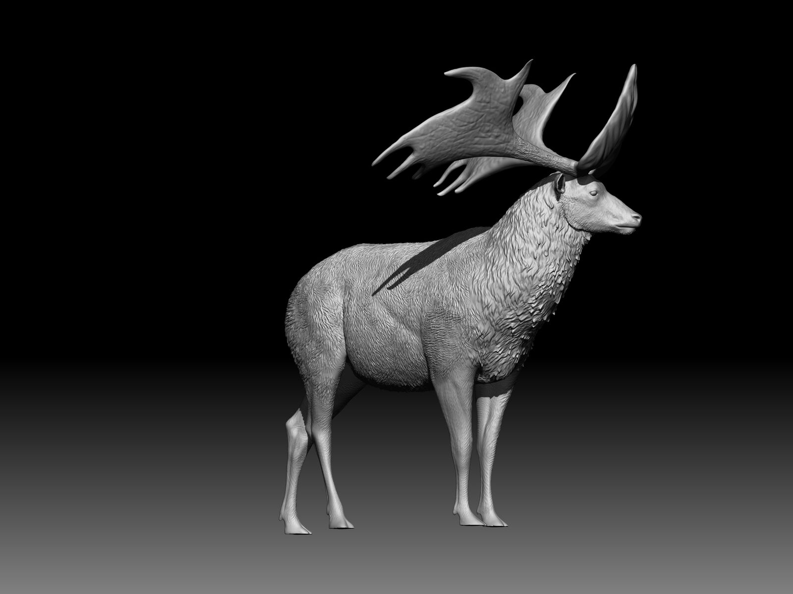 Sinomegaceros pachyosteus Model