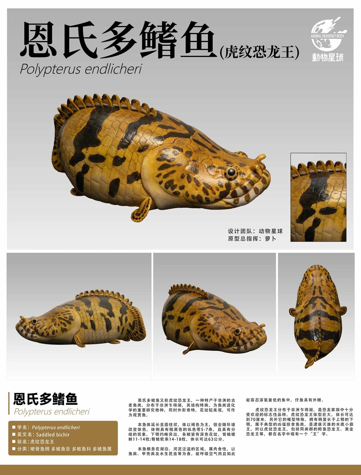 Animal Planet 11 Ancient Fish Blind Box Model