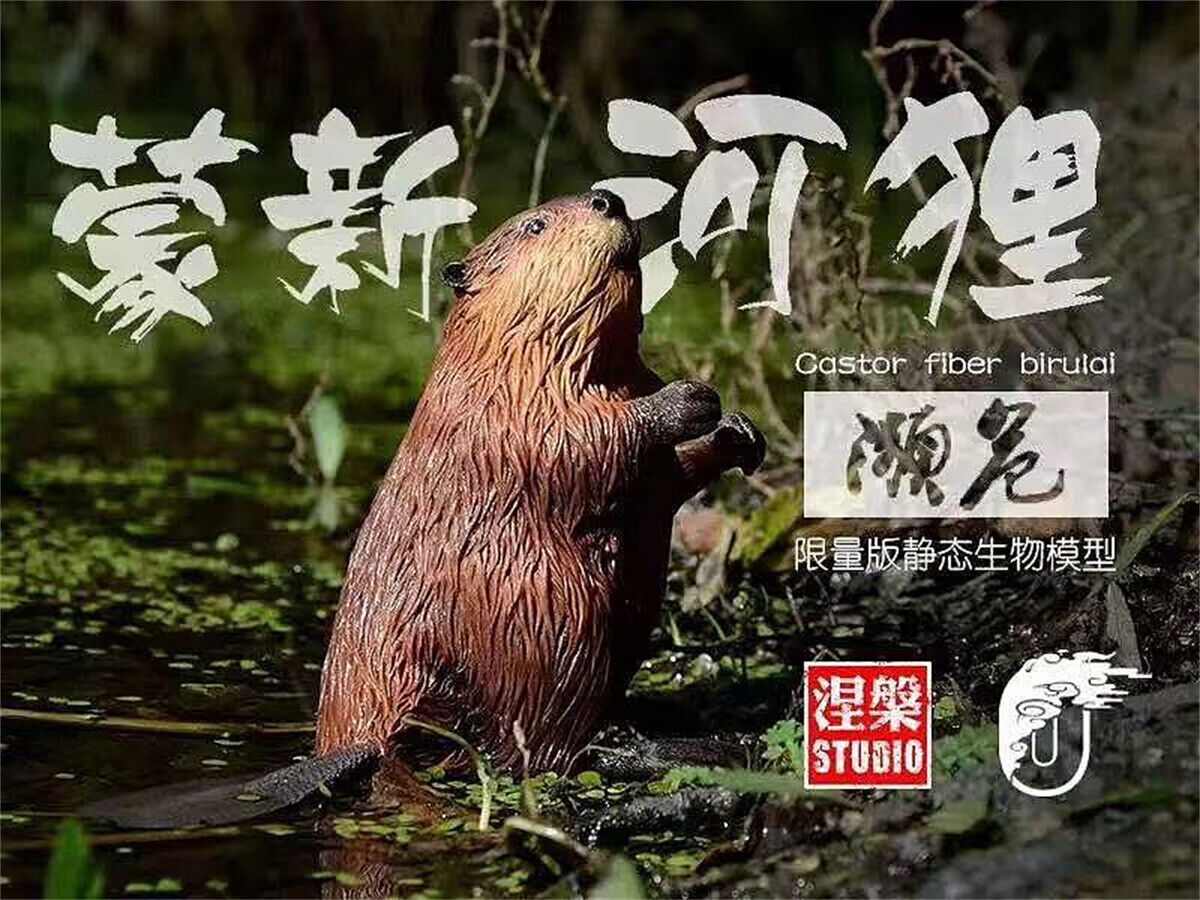 Castor Fiber Biruiai Statue