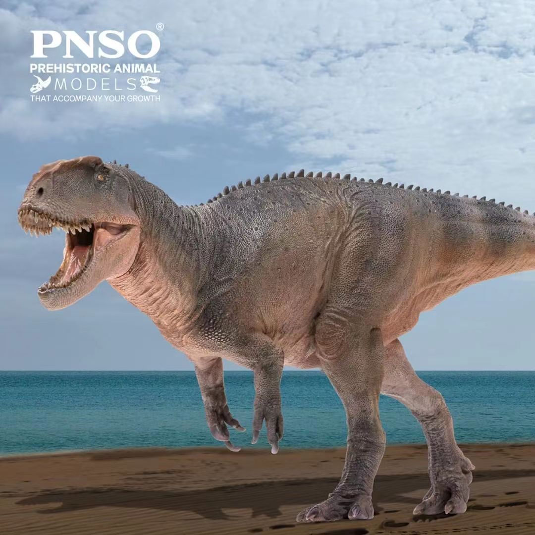 PNSO Sinraptor Xinchuan Figure