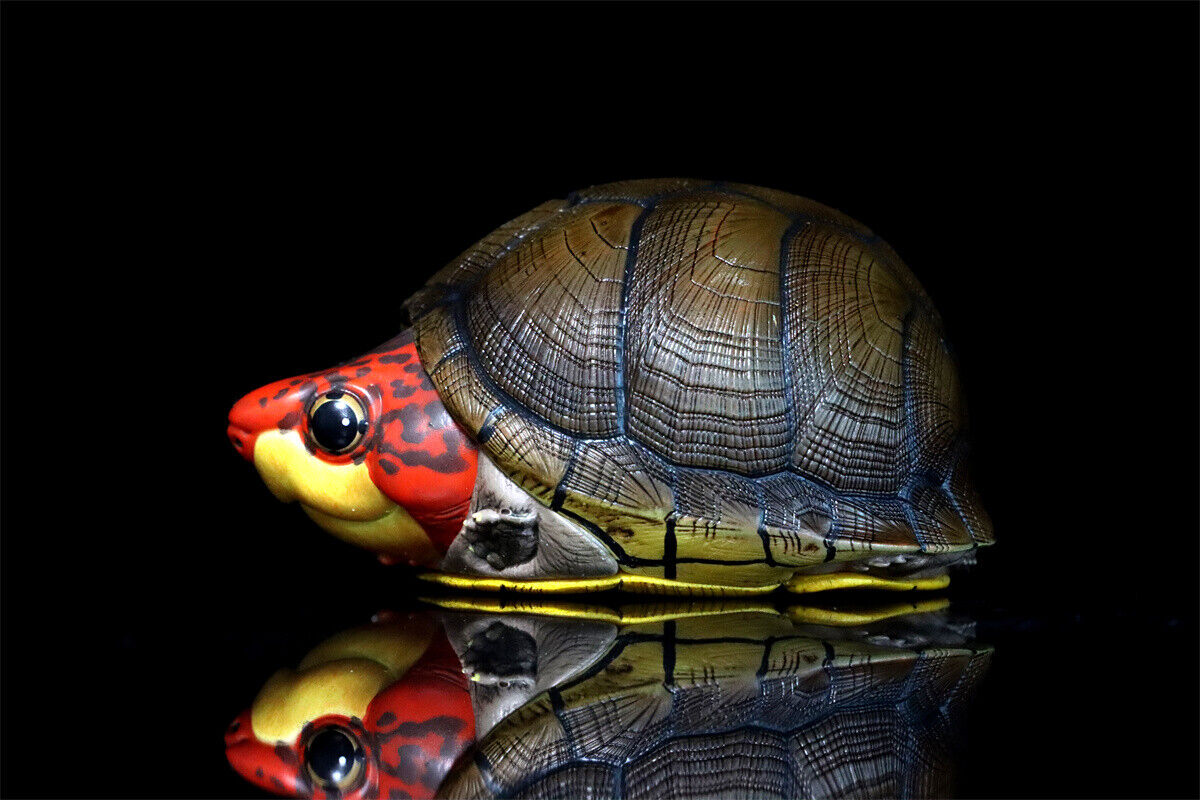 Animal Planet 08 Turtle Blind Box Model