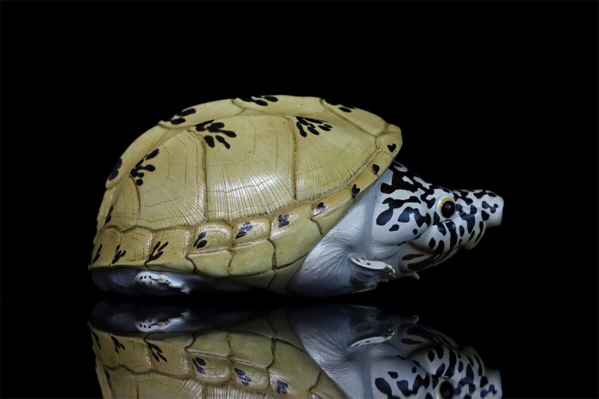 Animal Planet 08 Turtle Blind Box Model