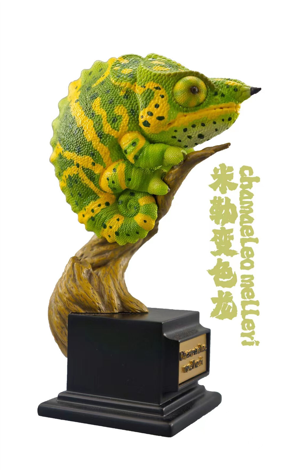 Chamaeleonidae Blind Box Model