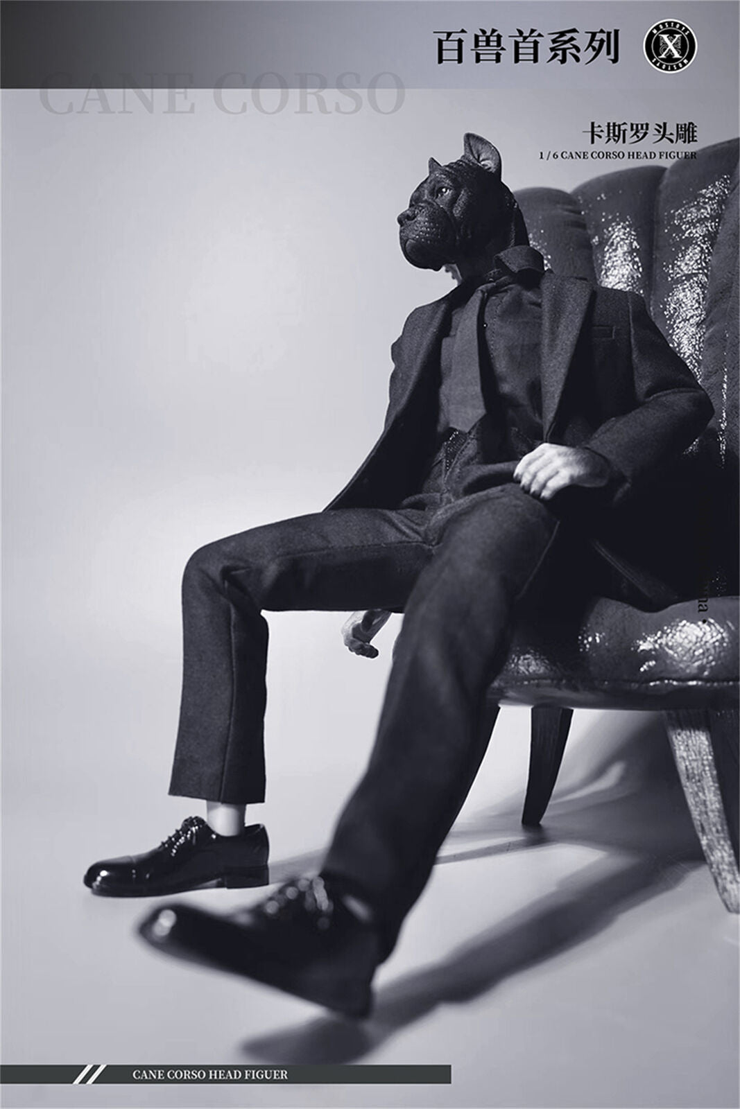 Mostoys 1/6 Cane Corso Head Figure