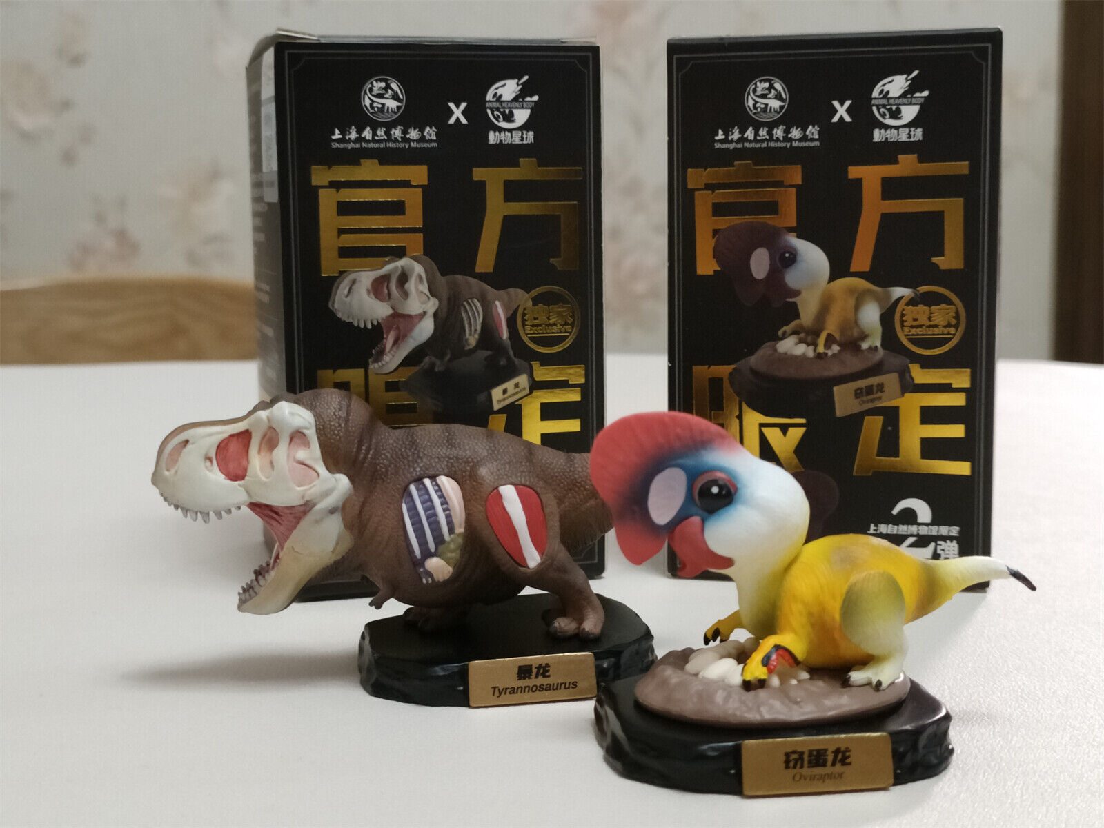 Animal Planet Oviraptor Model