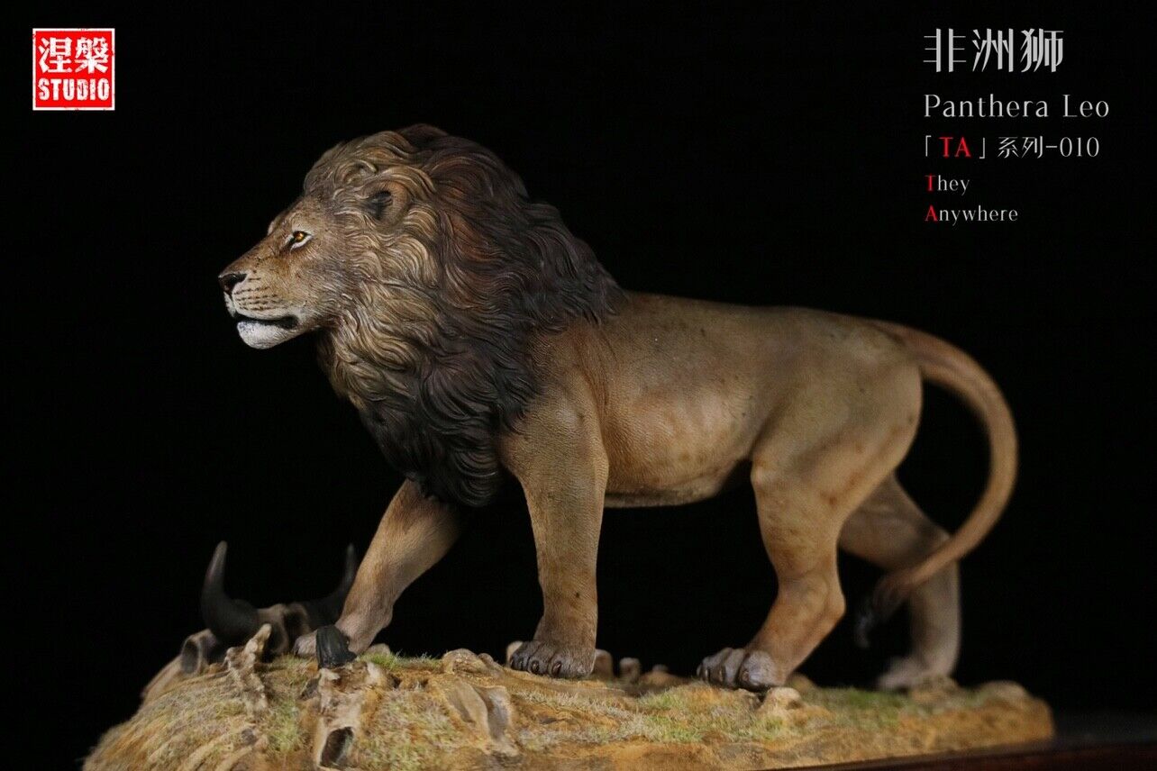 Panthera Leo TA Series-10 African Lion Model