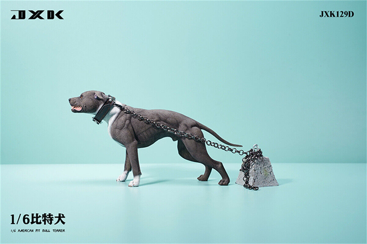 JXK 1/6 American Pit Bull Terrier Model