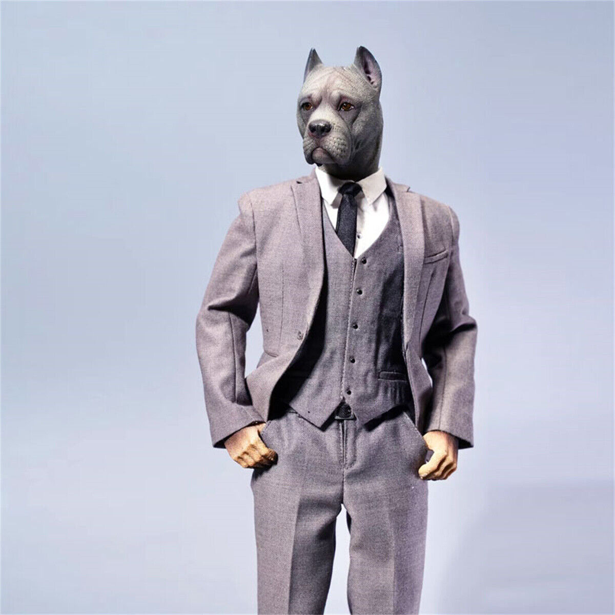 Mostoys 1/6 Cane Corso Head Figure