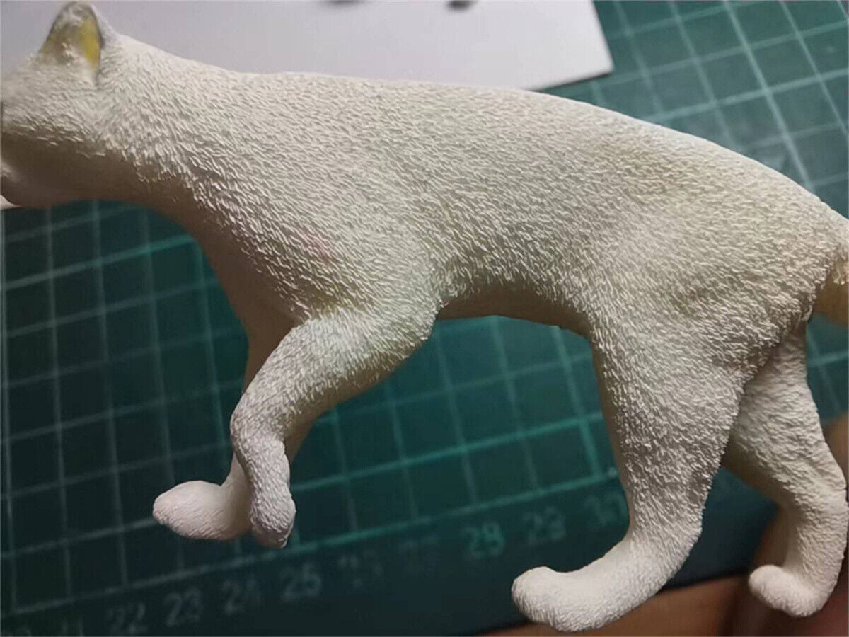 Woo-Model Studio 1/10 Nepalese Marbled Cat Model