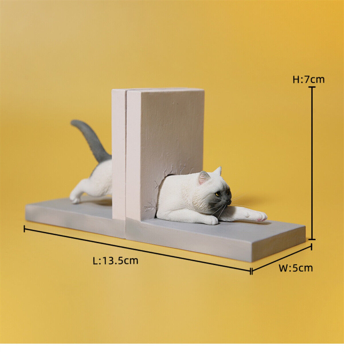 JXK 1/6 Cat Through The Wall Model