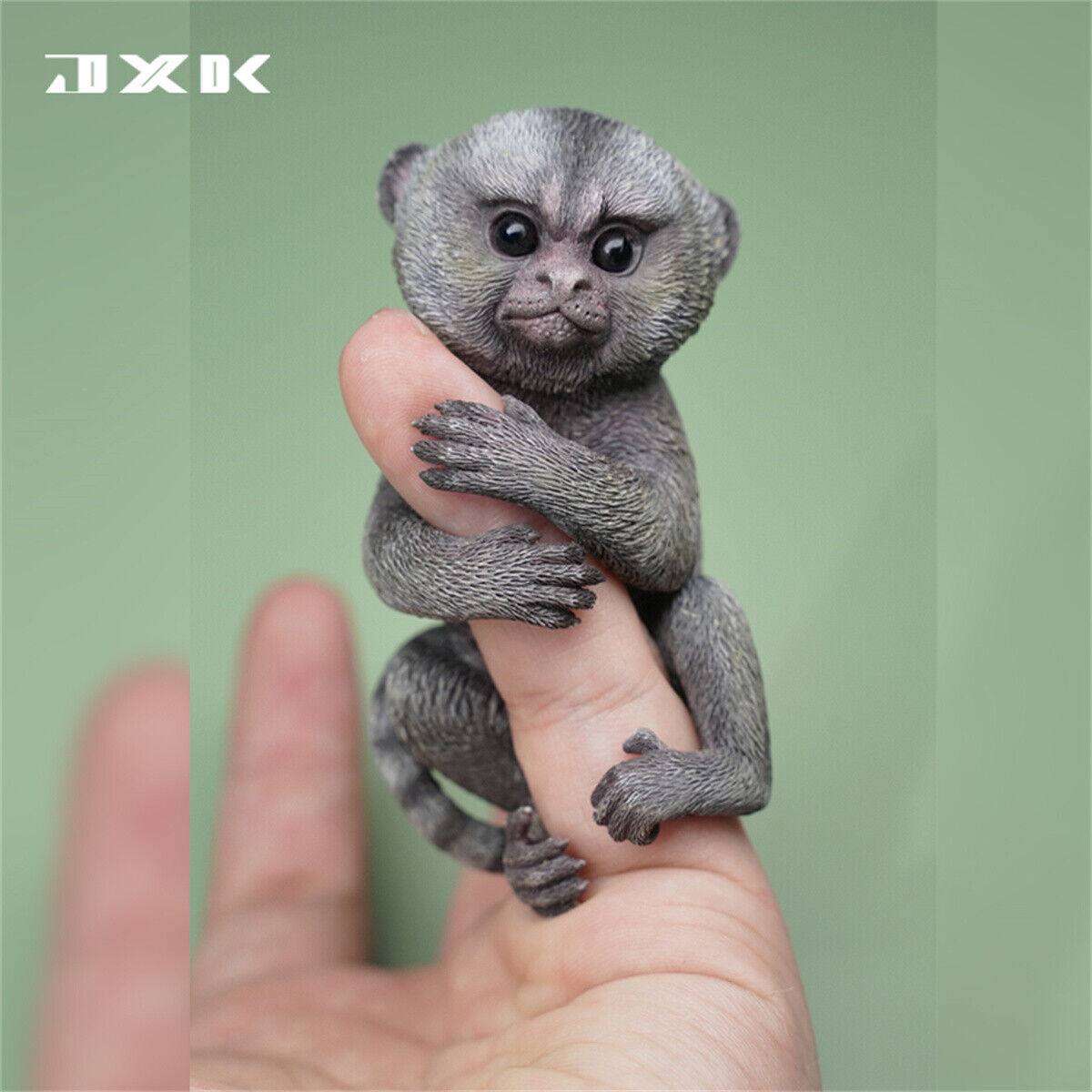 JXK 1/1 Callithrix Jacchus Model