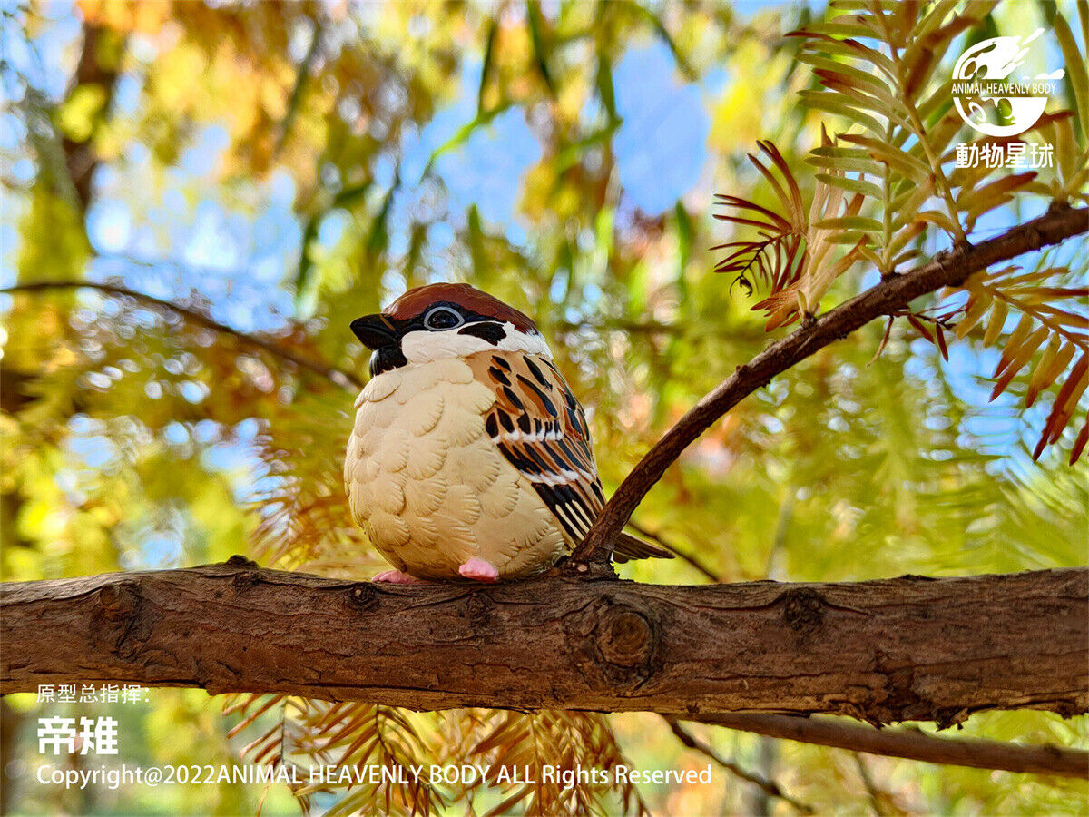 Animal Planet Birds 2.0 Blind Box Model