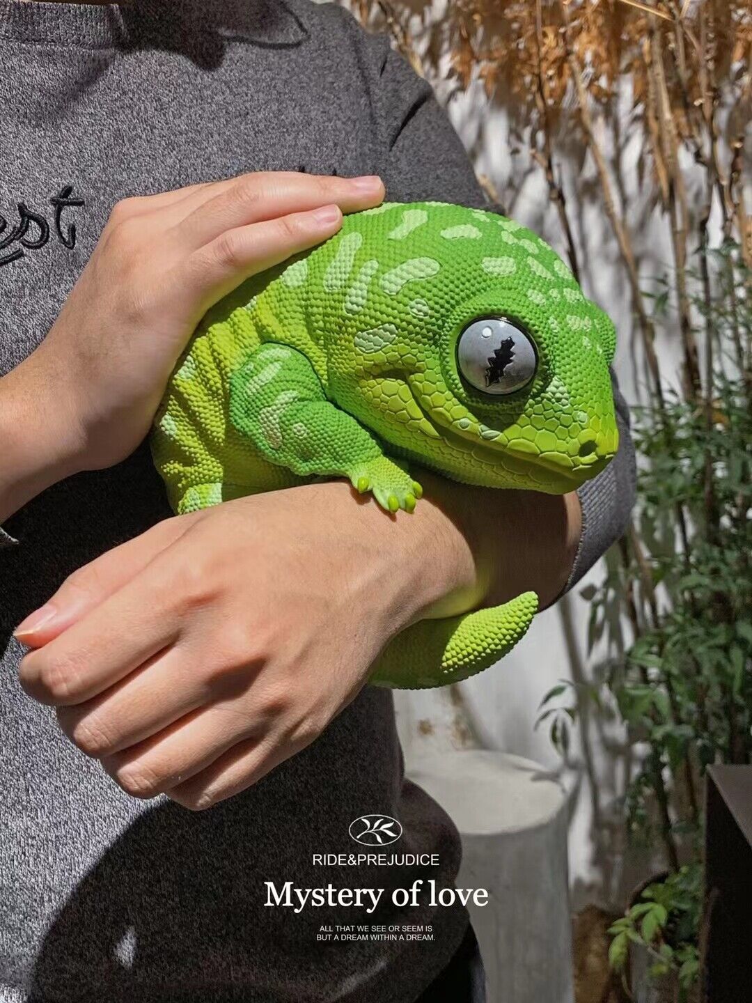 Wall lizard Plus Limited Model