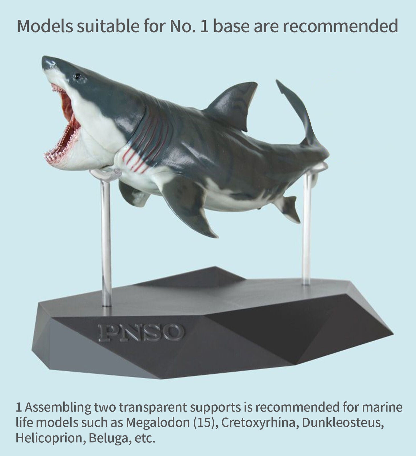 PNSO Transparent Auxiliary Support Base Model
