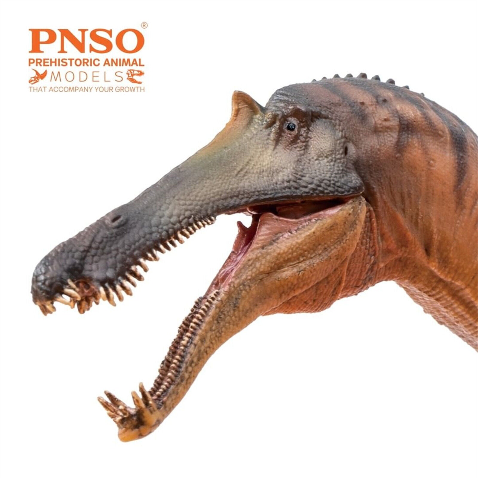 PNSO Sinopliosaurus Chongzuo Model