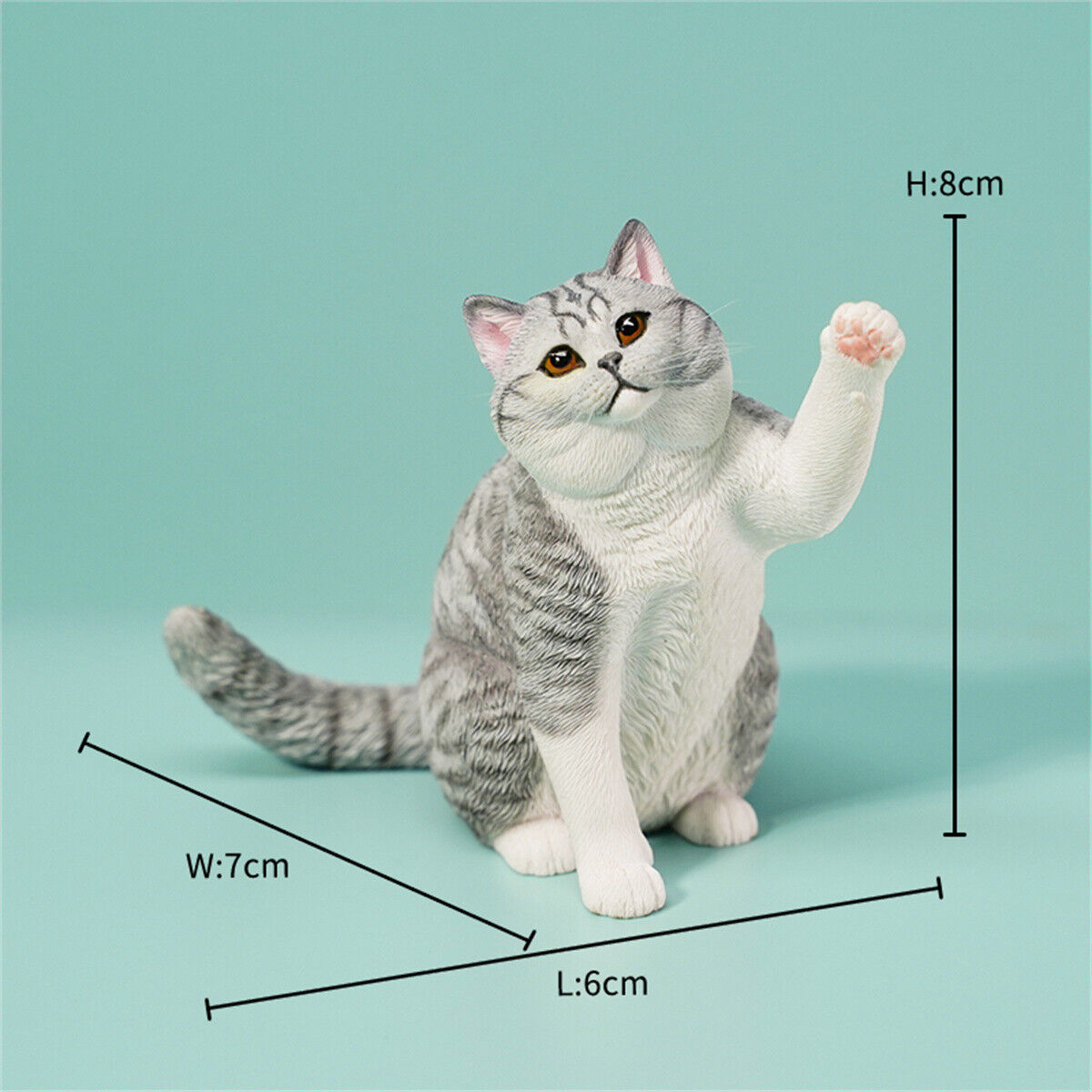 JXK 1/6 British Shorthair 2.0 Model