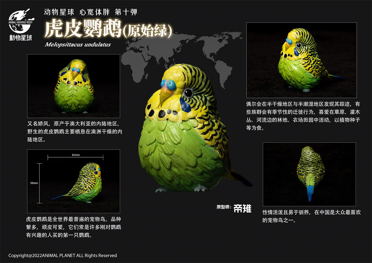 Animal Planet 10 Birds Blind Box Model