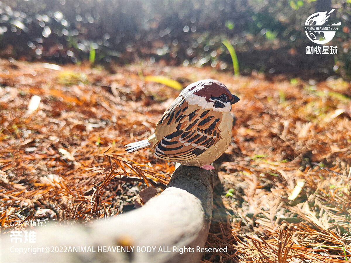 Animal Planet Birds 2.0 Blind Box Model