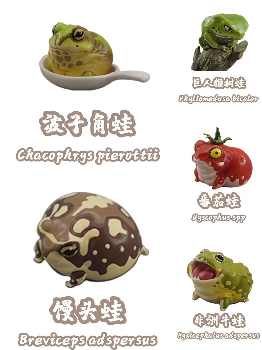 Frog Planet 24Pcs Limited Mini Ranidae Model