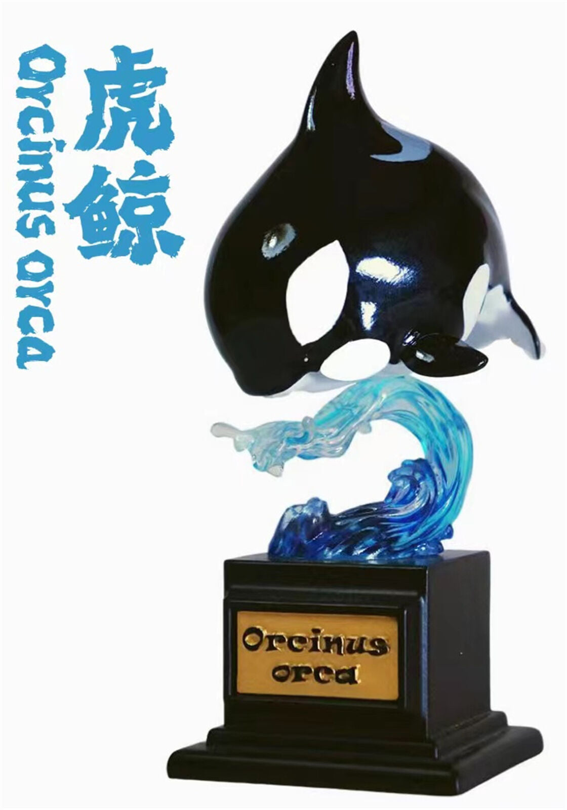 Whale Blind Box Model