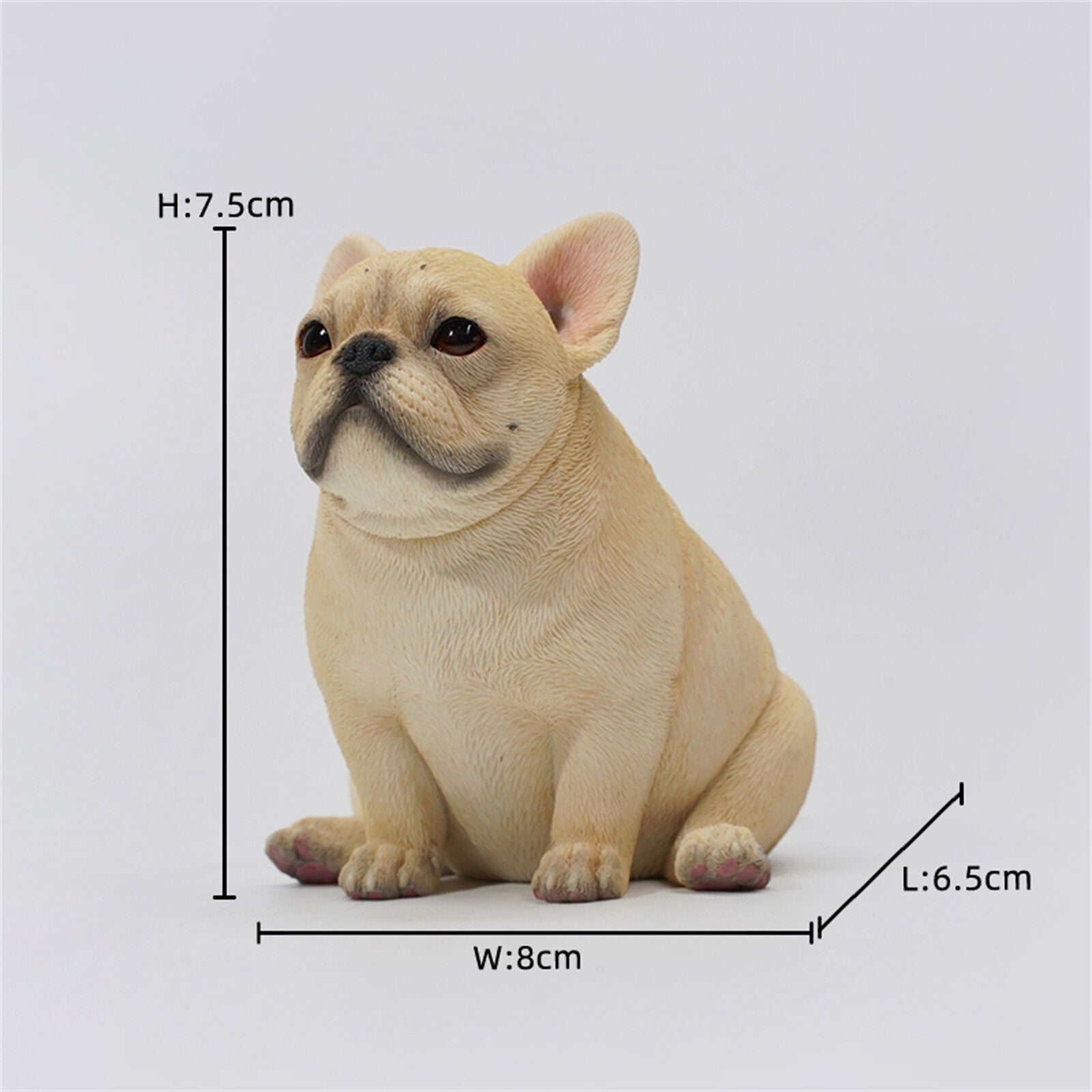 JXK 1/6 French Bulldog 3.0 Model