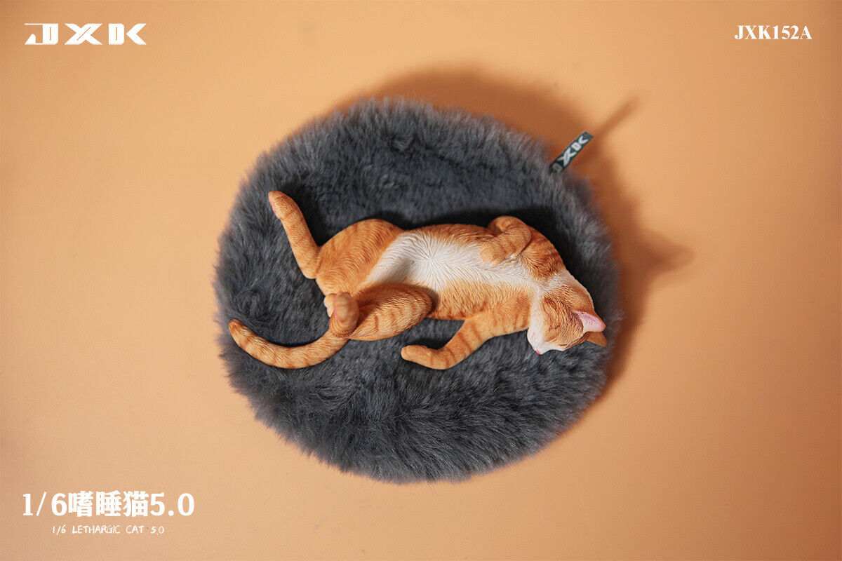 JXK 1/6 Lethargic Cat 5.0 Model