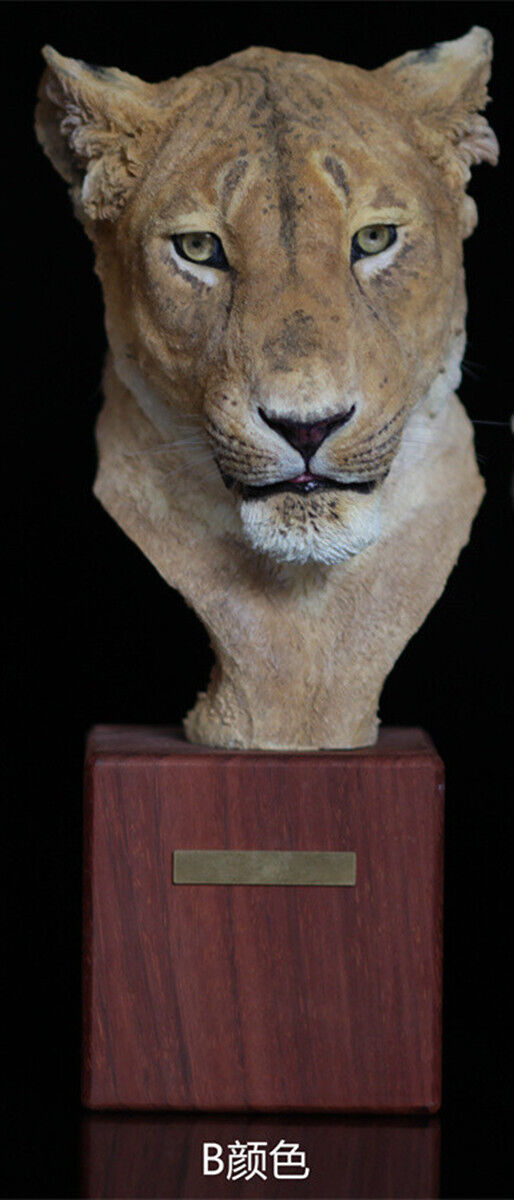 1/2 Lioness Head Statue