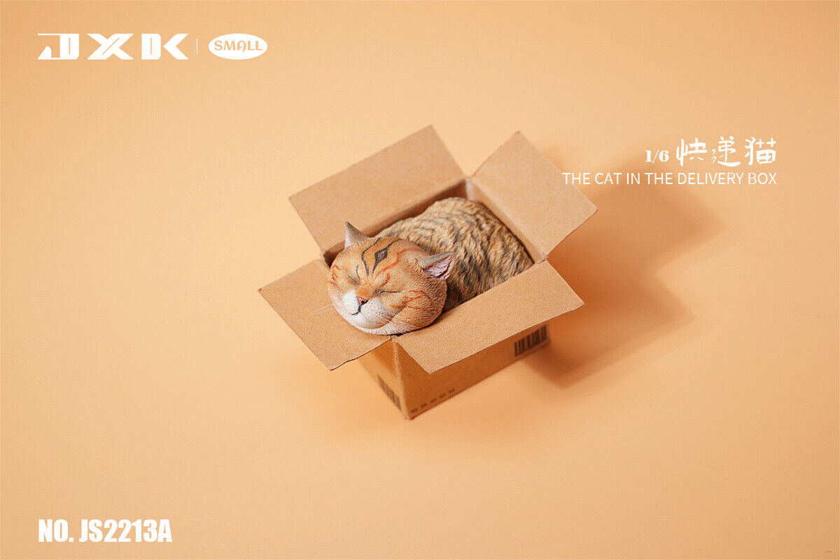 JXK The Cat In The Delivery Box Model