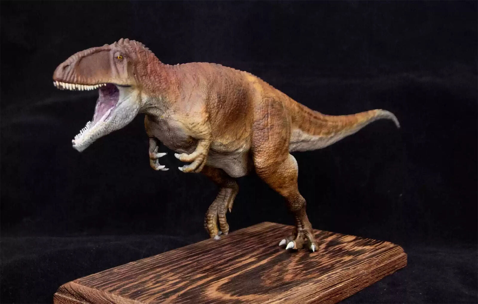 VWUVWU 1/35 Carcharodontosaurus Model