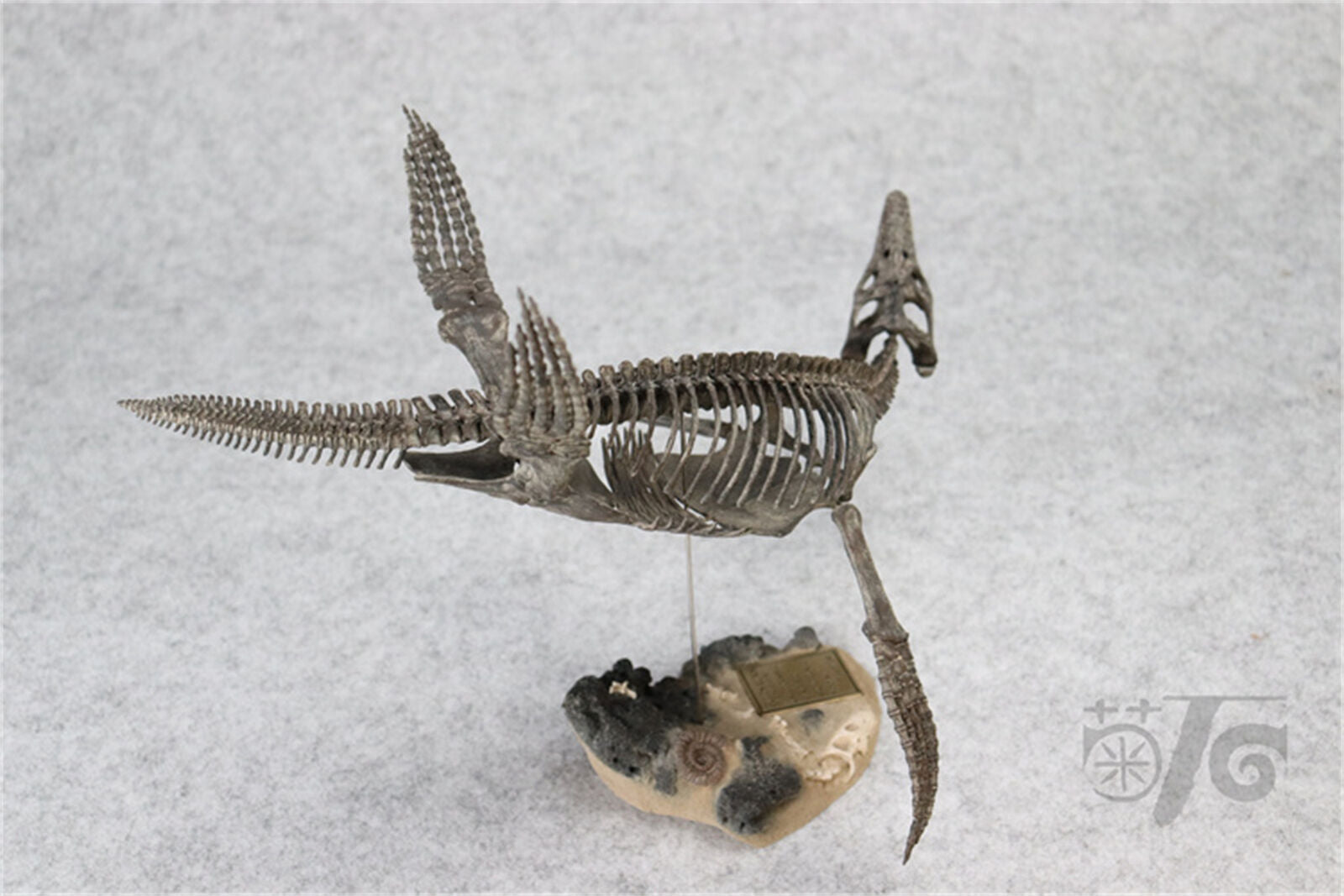 1/20 Pliosaurus Skeleton Model