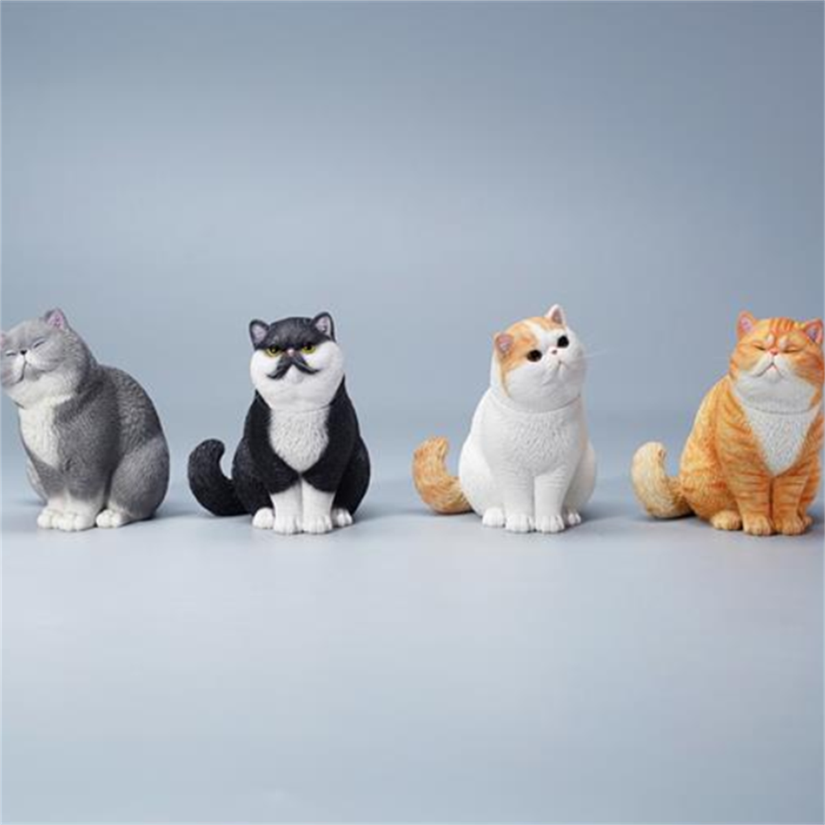 JXK 1/6 Change Head Exoticshorthair Cat Model
