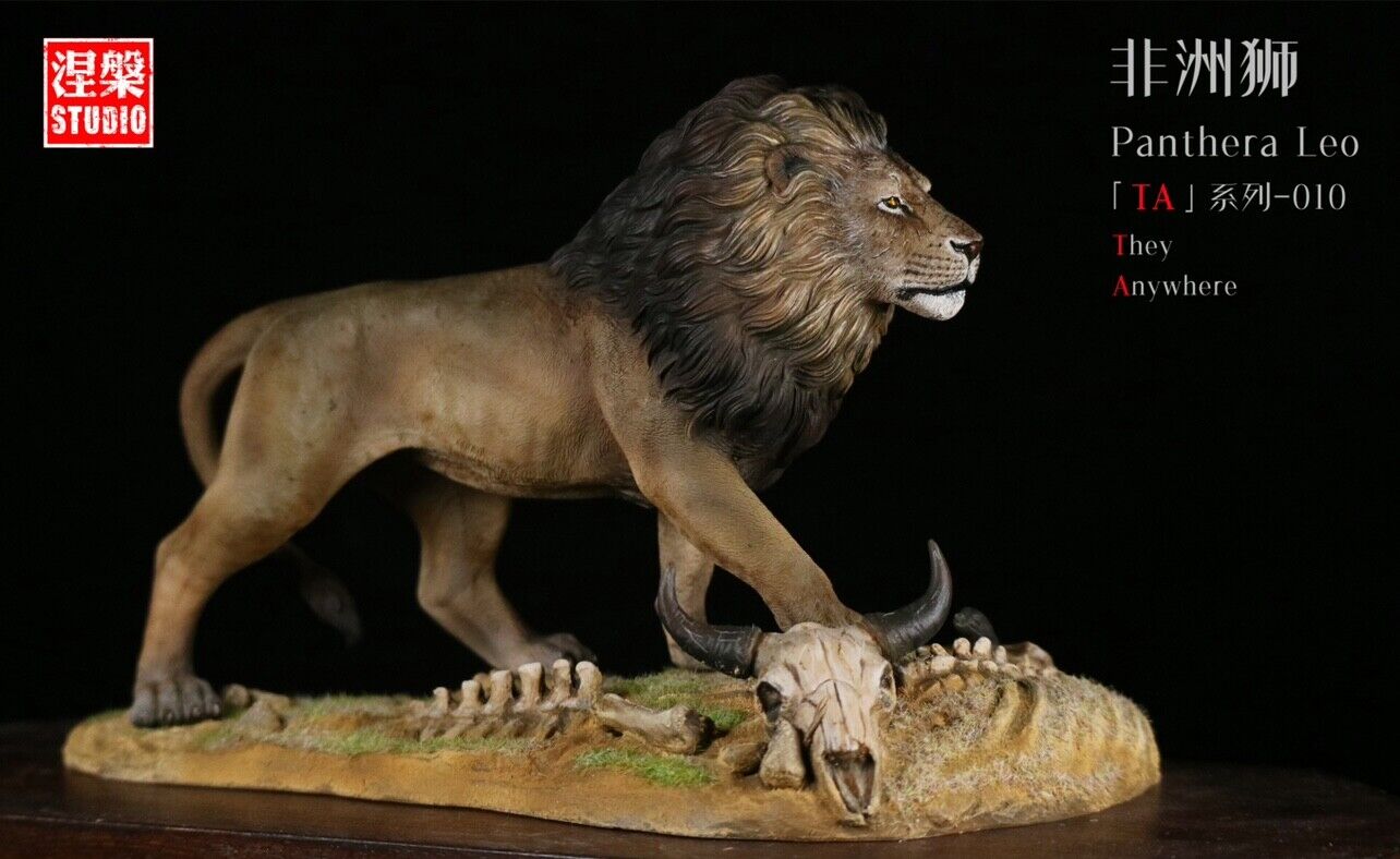 Panthera Leo TA Series-10 African Lion Model