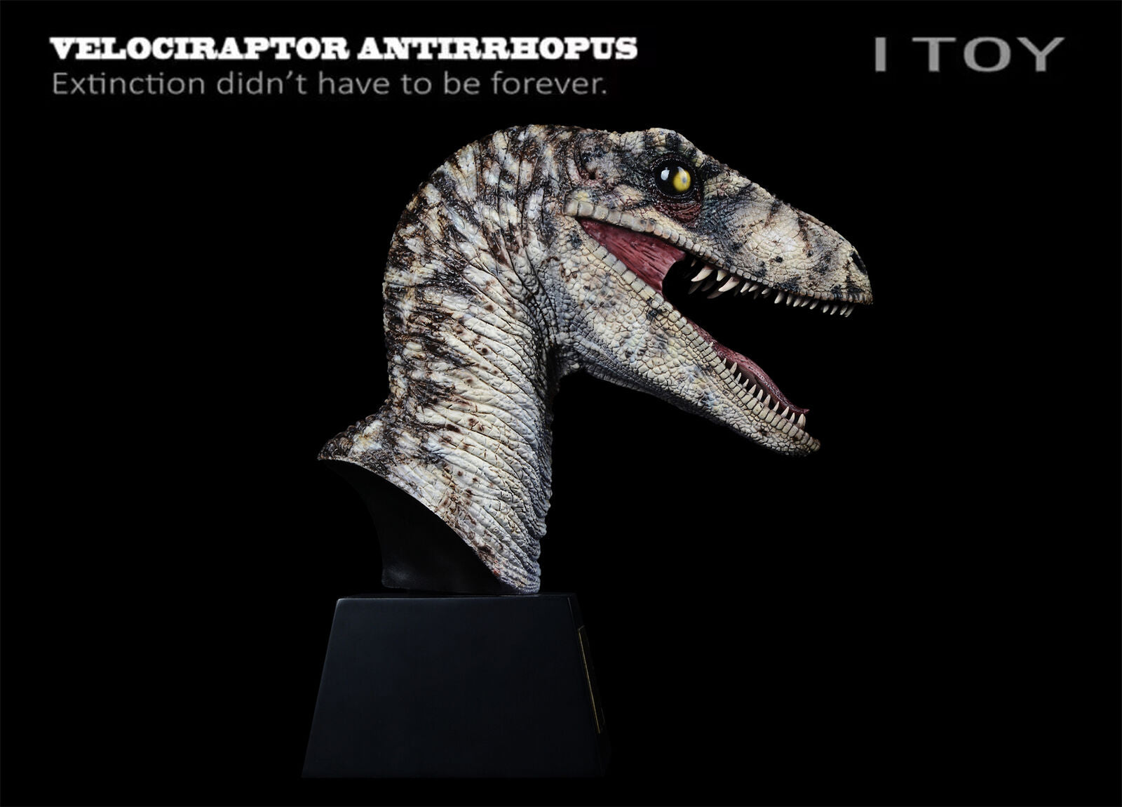 ITOY Velociraptor Antirrhopus Head Bust Model