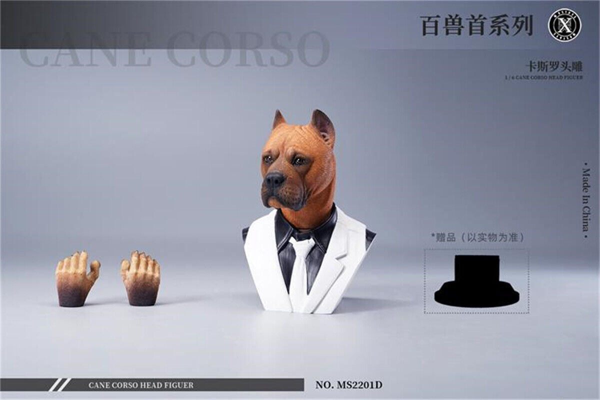 Mostoys 1/6 Cane Corso Head Figure